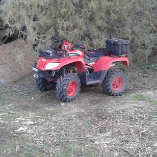 Submitted by Kaden M