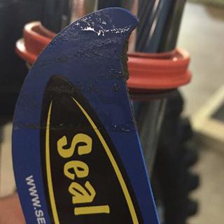 Submitted by Ryne M