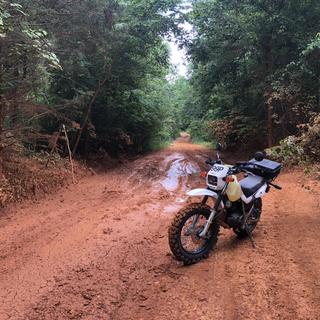 Submitted by michael c