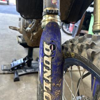 Submitted by Ethan P
