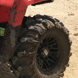 Submitted by William P