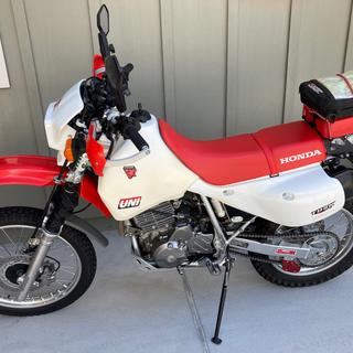 Acerbis Fork Guard Green - 2141760006 - Speed Addicts