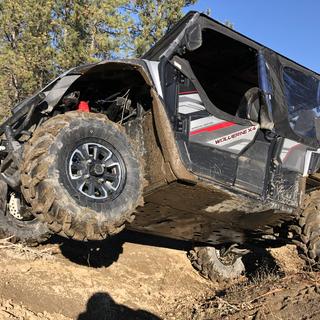 Submitted by NICK F