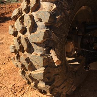 Submitted by Nathan F