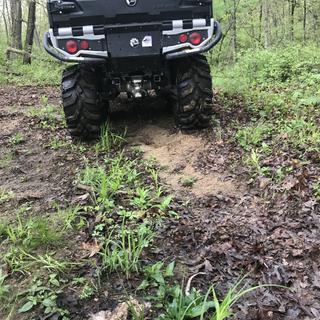 Submitted by Jordan A