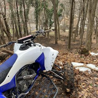 Submitted by Garrett S