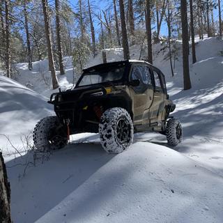 Submitted by Rick M