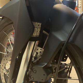 Submitted by Scott L