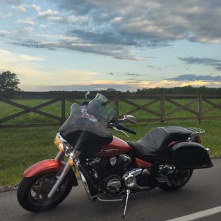 Submitted by Paula C