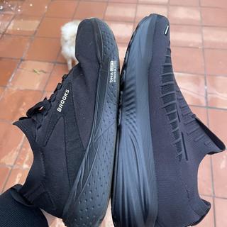 Glycerin 22 SE