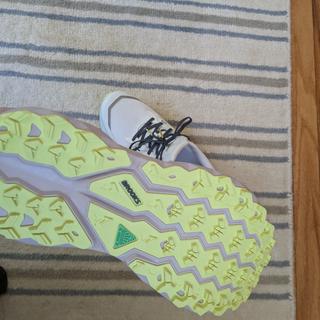 Cascadia 19