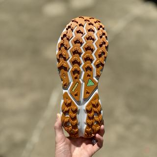 Cascadia 19