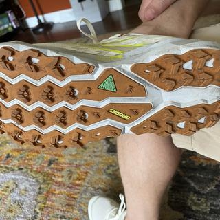 Cascadia 19