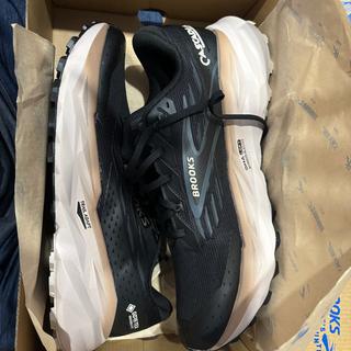 Cascadia 19 GTX