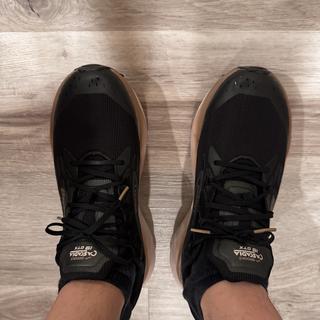 Cascadia 19 GTX