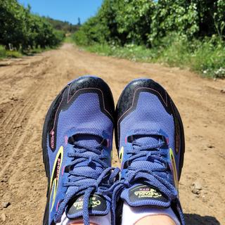 Cascadia 18 GTX Womens Waterproof Trail Running Shoes | Brooks Running
