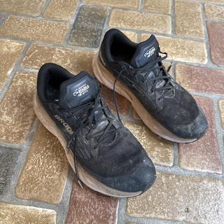 Cascadia 19 GTX