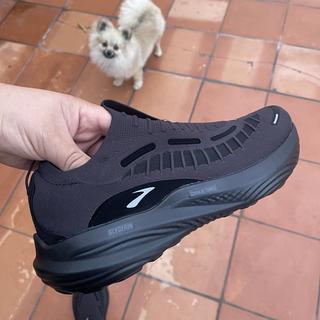 Glycerin 22 SE