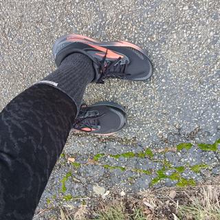 Adrenaline GTS 24 Weatherized