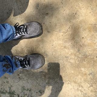 Submitted by William W