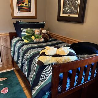 Shannon 3 Level Trundle Bed Raymour Flanigan
