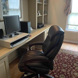 Reinhart Executive Office Chair Raymour Flanigan