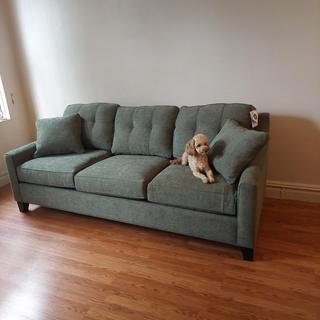 Submitted by DORIS Z