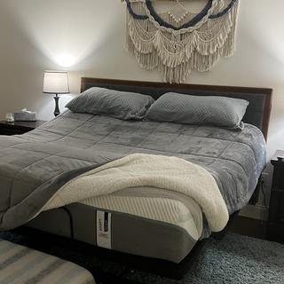 Sealy EASE Full Adjustable Base Raymour Flanigan