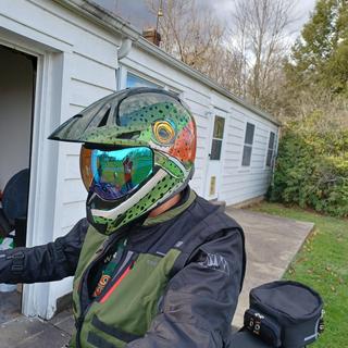 Icon Variant Pro Face Shield - RevZilla