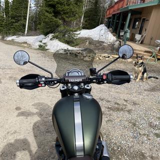 Dowco Copertura per moto per interni ed esterni, adatta a tutti i modelli Can-Am Ryker, Guardian WeatherAll Plus, colore nero [05601