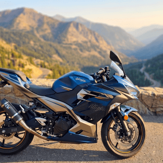 LeoVince GP Corsa EVO Slip-On Exhaust Kawasaki Ninja 400 / Ninja