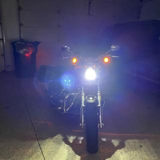 HogWorkz LED 5 3/4