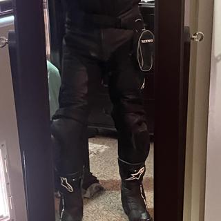 Dainese Misano Leather Pants - RevZilla