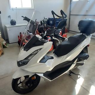 プーチPuig SCREEN 5569H ホンダPCX125用　新品未使用 Amazon.com: Puig WINDSHIELD V-TECHLINE HONDA PCX 125/ PCX