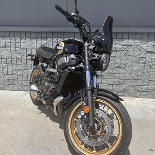 プーチ スクリーン YAMAHA XSR700(21-25) プーチ スクリーン YAMAHA XSR700(21-25) xsr700 スクリーン