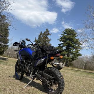 Motoz Tractionator RallZ Tires - RevZilla