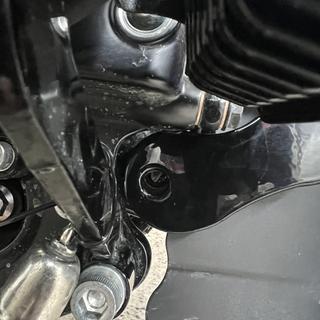 Customer photo