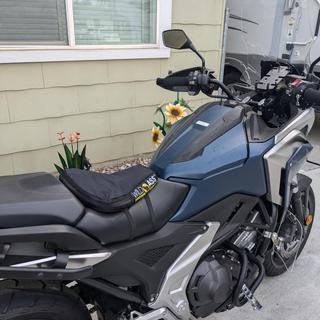 Wild Ass Sport Lite Motorcycle Seat Pad - RevZilla
