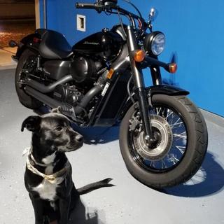 Vance & Hines Shortshots Staggered Exhaust Honda Shadow 750