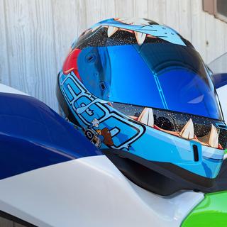 Icon Airform Mips Nine Lives Helmet - RevZilla