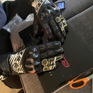 Alpinestars GP Tech v2 Gloves - RevZilla
