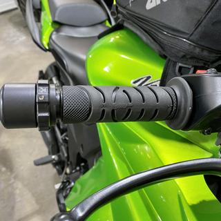 Kaoko Throttle Stabilizer Kawasaki Ninja 1000 / Z1000SX - RevZilla