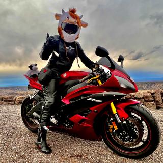 Alpinestars Stella Kira Jacket - RevZilla Alpinestars Stella Kira Jacket - RevZilla