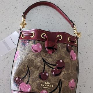Mini Bucket Bag In Signature Canvas | Bags | Coach | COACH®