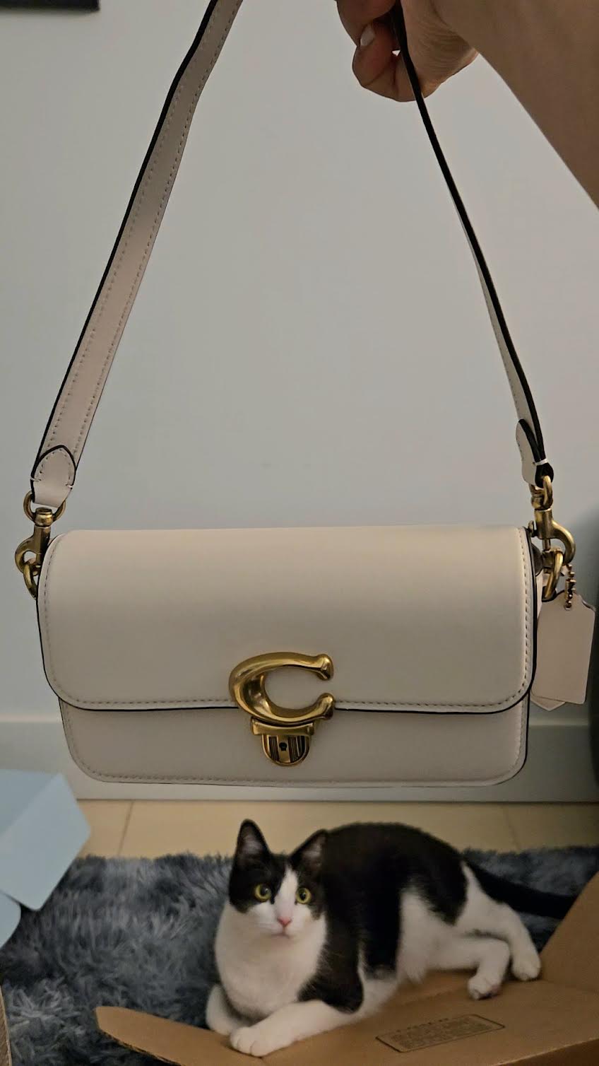 Studio Bag 20 | Bags | Coach | COACH®