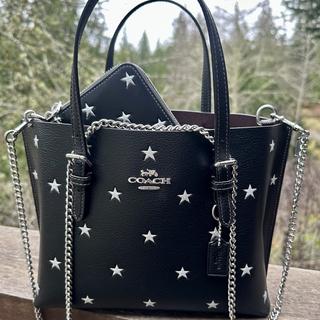 Mollie Tote Bag 25 In Signature Chambray | COACH®