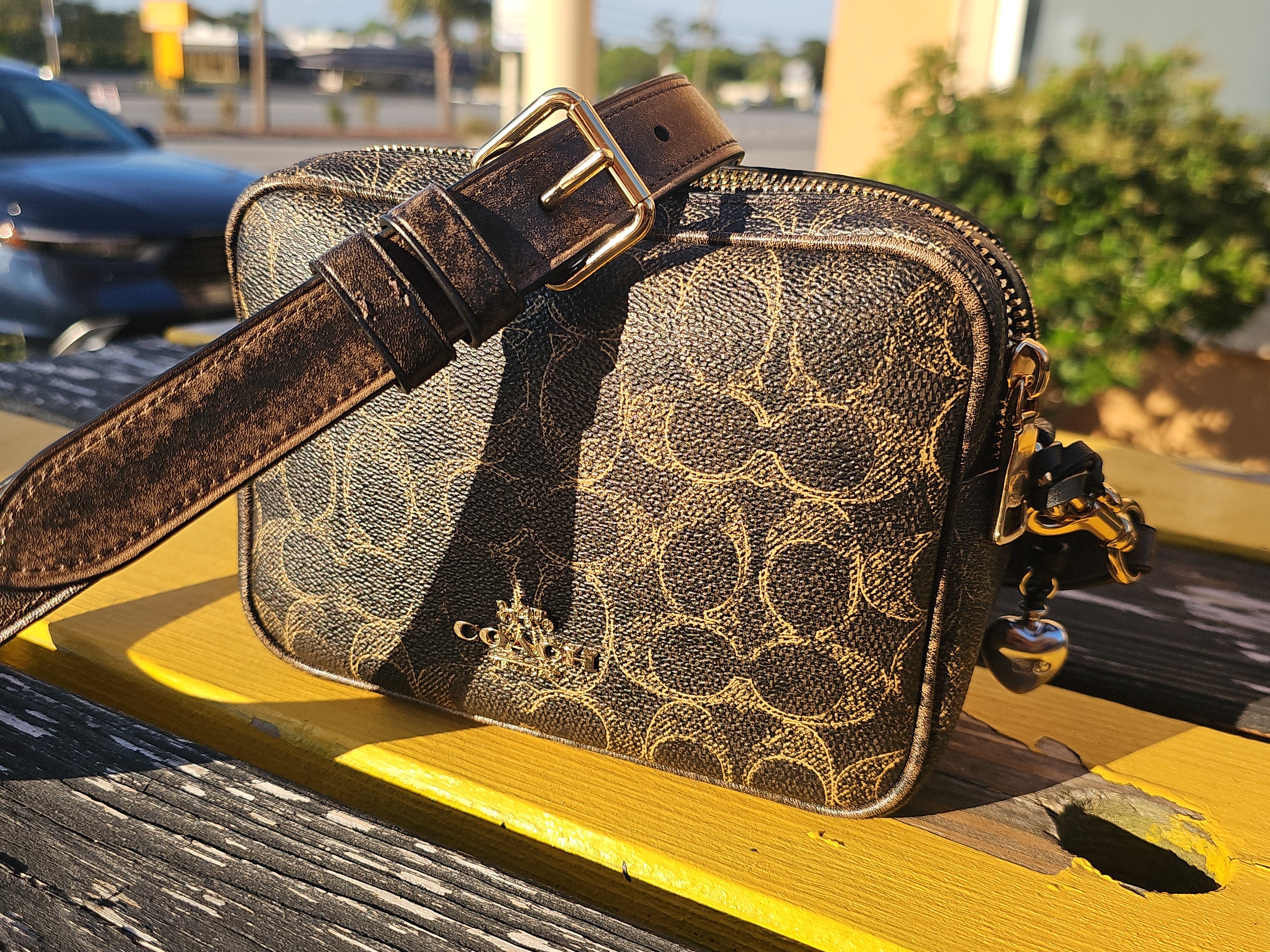Mini Carey Crossbody Bag In Signature Canvas | Bags | Coach | COACH®