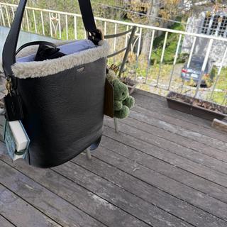 Bleecker Bucket Bag With Kisslock | COACH®