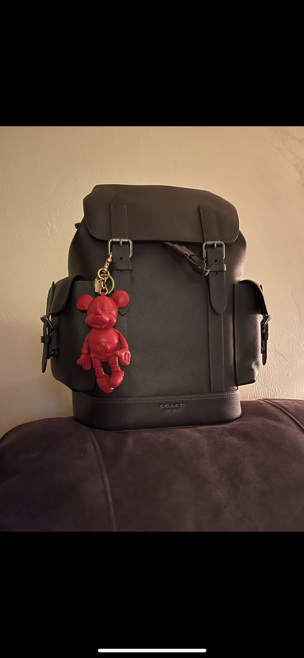 Hudson Backpack | COACH®