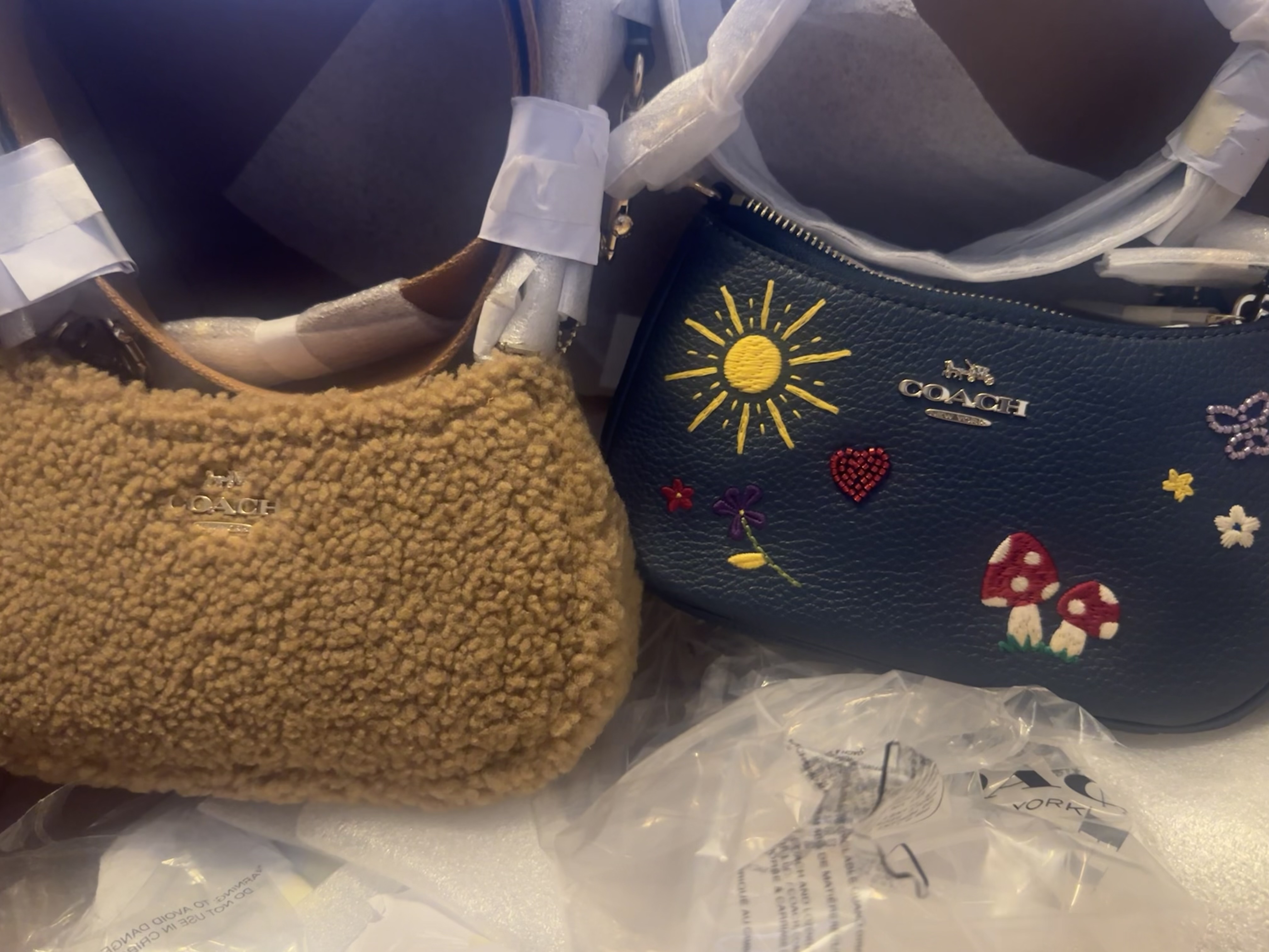 Teri Mini Crossbody Bag With Rivets | COACH®